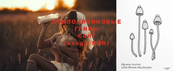 МДМА Белокуриха
